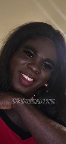 trans girl Queenblack 6560523 trans girl Queenblack 6560523