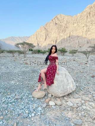 trans girl Queenmonica 0013017 trans girl Queenmonica 0013017