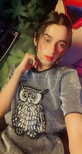 trans girl Queenpanda 8351398