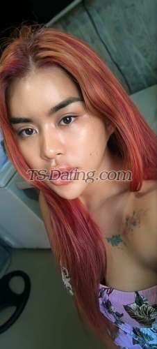 trans girl QuiinMolly 7186153 trans girl QuiinMolly 7186153