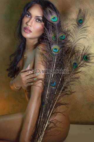 trans girl Quratu 7185813 trans girl Quratu 7185813