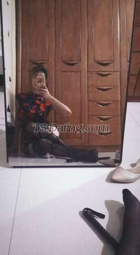 trans girl qianduoduo 9783171