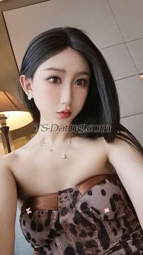 trans girl qiaoqiao 1355132 trans girl qiaoqiao 1355132