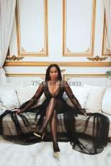 RachelSmithe San Juan TS escort 