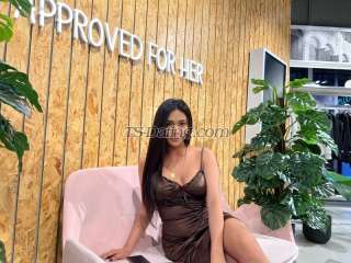 trans girl Rachelle2018 4178974 trans girl Rachelle2018 4178974