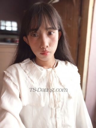 trans girl RainaHh 4284067 trans girl RainaHh 4284067