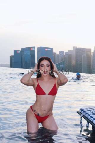 trans girl RealAnaconda 9187497 trans girl RealAnaconda 9187497