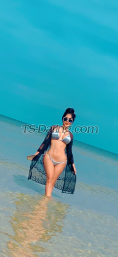 trans girl Reem508 1266432 trans girl Reem508 1266432