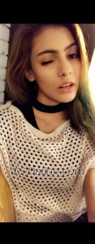 trans girl RidaQ 6501517 trans girl RidaQ 6501517