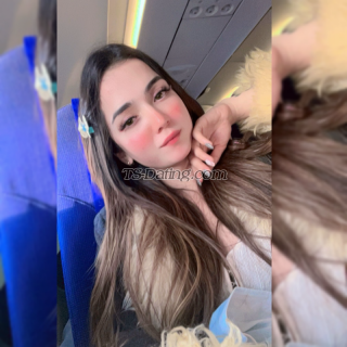 trans girl Ritzzzz 0696161 trans girl Ritzzzz 0696161