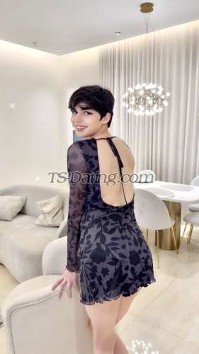 trans girl Rorolebanon 5895647 trans girl Rorolebanon 5895647