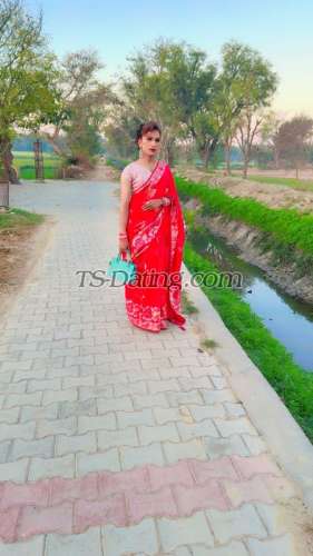 trans girl Roseangle 2038675 trans girl Roseangle 2038675