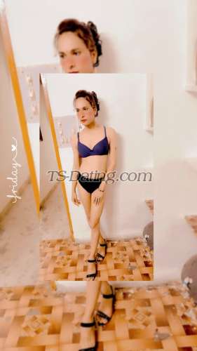 trans girl Roseangle 5007760 trans girl Roseangle 5007760