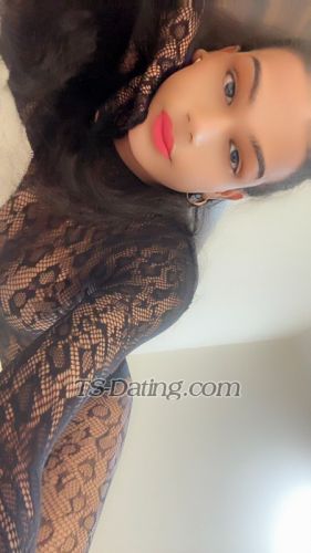 trans girl Rosyhot 0336997 trans girl Rosyhot 0336997