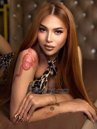 trans girl Royallicious 1722093 trans girl Royallicious 1722093