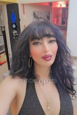 Rozaa Berlin Nur Wha Transex Hey. My Name is Naya sexy misstressPS: ONLY
SERIOUS CLIENTS PLZ 