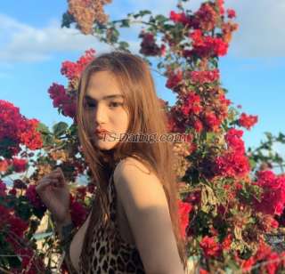 trans girl Rubiehotcake 0483813 trans girl Rubiehotcake 0483813