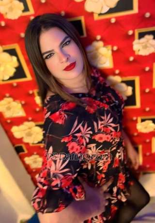 trans girl Rubiroy 0393156 trans girl Rubiroy 0393156