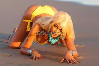 trans girl raphaellats 5838131 trans girl raphaellats 5838131