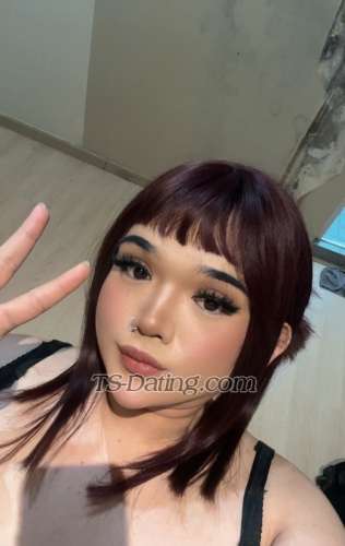 trans girl rikafox 8927336 trans girl rikafox 8927336