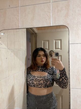 trans girl rikafox 9292220 trans girl rikafox 9292220