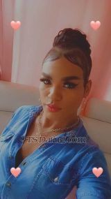 SARA CAMPUZAN Cali Transex Hello, my name is Sara Campuuzano, I am a very naughty,
sensual and extroverted trans girl... open-minded, versatile
without limits.HOT VIDEO CALLS AND SELLING MY BEST
VIDEOS HAVING SEXI go out to restaurants, cinemas,
clubs, shopping 🎁 motels, cabins, hotels, houses, farms,
I love playing with my body and using all my
exotic toyssexy outfits, lingerie, heels, latex and
much more Write to me and you will know more about
meI answer calls or WhatsApp 💋hola mi
nombre es Sara campuuzano, soy una chica trans muy traviesa,
sensual y extrovertida...de mente abierta versatil sin
limites.VIDEO LLAMADAS CALIENTES Y VENTA DE MIS
MEJORES VIDEOS TENIENDO SEXO salgo a restaurantes,
cines, discotecas, de compras 🎁 moteles, cabañas,
hoteles, casas, fincas, Me encanta jugar con mi
cuerpo y usar todos mis juguetes exóticostrajes sexys,
lencerias, tacones, latex y mucho mas Escríbeme y
sabrás más de mírespondo llamadas o whastapp 💋