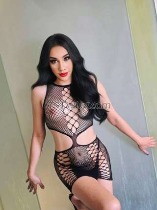 trans girl SEXYMEVIP 7585736 trans girl SEXYMEVIP 7585736