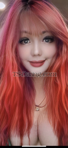 trans girl transgoddess 4904285 trans girl transgoddess 4904285