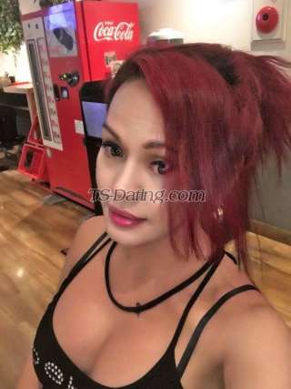 trans girl transgoddess 7160046 trans girl transgoddess 7160046