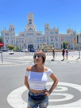 trans girl Sabrihard 3862217 trans girl Sabrihard 3862217