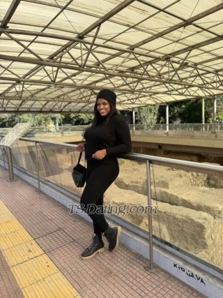 trans girl SabrinaSuzuk 9882555 trans girl SabrinaSuzuk 9882555