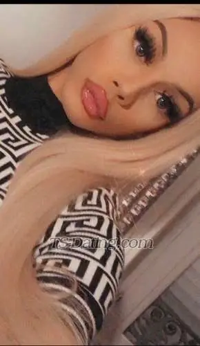 Shemale Sabrinamaroc 1056753 Shemale Sabrinamaroc 1056753