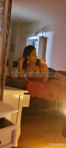 trans girl Sabrinavazque 6031387 trans girl Sabrinavazque 6031387