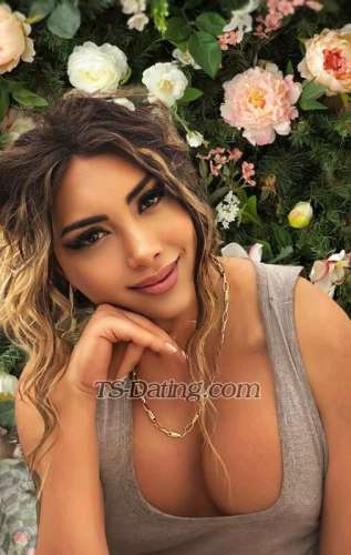 trans girl Salamqaqa 8614510 trans girl Salamqaqa 8614510