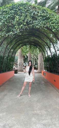 trans girl SamanthaMae 1017393 trans girl SamanthaMae 1017393