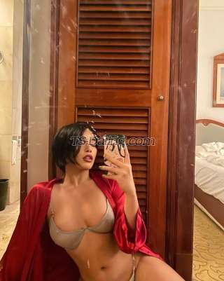 trans girl Samanthaann 2360468 trans girl Samanthaann 2360468