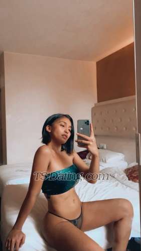 trans girl Samanthaann 2588037 trans girl Samanthaann 2588037