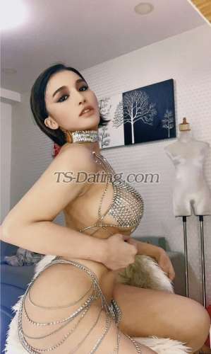 trans girl Samanthaann 9211253 trans girl Samanthaann 9211253