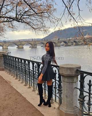 trans girl Samanthafoe 4202429 trans girl Samanthafoe 4202429