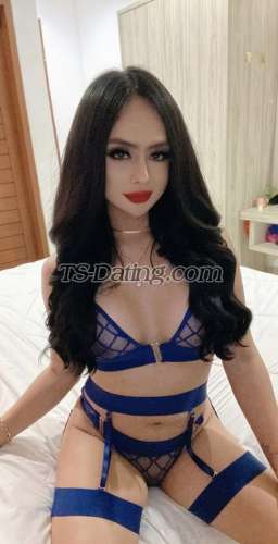 trans girl Samanthallin 1885159 trans girl Samanthallin 1885159