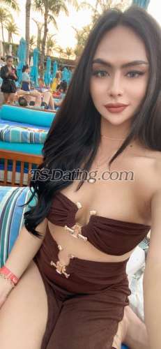 trans girl Samanthallin 2964795 trans girl Samanthallin 2964795