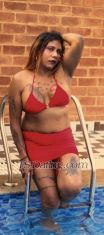 Samantharoy Bangalore Transex SESSIONS ONLY FOR HIGH PROFILES ONLY
     NOT FOR LOW BUDGETS STRICTLY 

PRICE DEPENDS ON UE FANTACY ND DURATION OF HRS ⏰

Note As watsup is blocking, only available on telegram @Roy3984 My pictures are 💯% genuine first chq my  Tweeter or X and Official me don't forget.

💥official.me/divya_roy

💥Fetlife @divya_roy1078
💥Reddit u/Born-Fun3552
💥X ID @divyaroy1078
💥X ID @samantharoy1078
💥Telegram I'd @Roy3984

EVERYONE OUT HERE MIGHT HAVE A BDSM KIT BUT ONLY A MISTRESS KNOWS HOW TO USE IT...

TS_Samantha Roy 👠 with 38 Boobies 🍒 7.5 🍌 tool nd thick cum 💦 well Experienced Professional Domentrex 👠shemale for Real Meet 💋

Nothing is impossible Everything possible

Introducing dungeon nd studio with cage Room for only professional subs👠👠👠 not for first timers nd price nd session different
👠👠👠💥

Role play offers ✅ 
👇👇👇
1. Teacher and student.✅
2. Hot Yoga Teacher.✅
3. A stranger✅
4. Cat women.
5.Step Brother and Step sister.✅
6.Abusive (English also).✅
7.The classic maid✅
8.Boss and employee✅
9.The stars of your favorite movie✅
10.The control freak✅
11.Bondage I'm here for you bitch
12. Nails play slapping
13. Degradation
14. Humiliation
16. Physical &mental torture
17. Cockhold
💄BIG COCK 7.5 INCHES
💄BDSM ALSO AVAILABLE
💄Roleplay Session.
💄GIRLFRIEND Experience.
💄 BDSM SESSION.
💄 Dominant mistress.
💄Foot fetish with golden shower
💄Human sink Domination
💄Ass to mouth Domination
💄CBT, PEE HOLE INSERTION ,chastity cage 🔒
💄Food domination Food🍓🍟🍔🍕 chew spit in mouth
💄cigarette Domination
💄Cockold session avilable if u hav a.
Partner
💄Couple service Available in real only not cam Sessions for privacy concerns
💄Lesbian service only Real (No cam)
💄Dirty service to. Extreme also. Available Scat 💩 💩 session also available
💄sex videos Domination videos for 2k 3 videos on telegram or watsup
Hd clarity videos 5k 4 videos

⚠️⚠️⚠️ BEWARE ⚠️⚠️⚠️
please don't pay for online session direct or any advance payment as they using my pics blocking plz b aware of such froads after face confirmation on video call dn only pay and I dont send pics on watsup as scammers r misusing after chat u can vc 2sec for face confirm.
⚠️⚠️⚠️ BEWARE ⚠️⚠️⚠️

Note. All service depends on wat u require ue Fantasy nd hours of duration acording to Dat

💄 Video call service/Cam Service available
Note. All service depends on wat u require ue Fantasy nd hrs acording to Dat.

Kindly mention what kind of services you want.

Time passers will not be entertained.

Beware of fake profiles and scammers who fake my identity on facebook /twitter /insta /fetlife /collar space. Do Not Get scammed.

Only genuine n real clients please Contact me through whatsapp