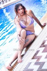Samantharoy Bangalore Transex SESSIONS ONLY FOR HIGH PROFILES ONLY
     NOT FOR LOW BUDGETS STRICTLY 

PRICE DEPENDS ON UE FANTACY ND DURATION OF HRS ⏰

Note As watsup is blocking, only available on telegram @Roy3984 My pictures are 💯% genuine first chq my  Tweeter or X and Official me don't forget.

💥official.me/divya_roy

💥Fetlife @divya_roy1078
💥Reddit u/Born-Fun3552
💥X ID @divyaroy1078
💥X ID @samantharoy1078
💥Telegram I'd @Roy3984

EVERYONE OUT HERE MIGHT HAVE A BDSM KIT BUT ONLY A MISTRESS KNOWS HOW TO USE IT...

TS_Samantha Roy 👠 with 38 Boobies 🍒 7.5 🍌 tool nd thick cum 💦 well Experienced Professional Domentrex 👠shemale for Real Meet 💋

Nothing is impossible Everything possible

Introducing dungeon nd studio with cage Room for only professional subs👠👠👠 not for first timers nd price nd session different
👠👠👠💥

Role play offers ✅ 
👇👇👇
1. Teacher and student.✅
2. Hot Yoga Teacher.✅
3. A stranger✅
4. Cat women.
5.Step Brother and Step sister.✅
6.Abusive (English also).✅
7.The classic maid✅
8.Boss and employee✅
9.The stars of your favorite movie✅
10.The control freak✅
11.Bondage I'm here for you bitch
12. Nails play slapping
13. Degradation
14. Humiliation
16. Physical &mental torture
17. Cockhold
💄BIG COCK 7.5 INCHES
💄BDSM ALSO AVAILABLE
💄Roleplay Session.
💄GIRLFRIEND Experience.
💄 BDSM SESSION.
💄 Dominant mistress.
💄Foot fetish with golden shower
💄Human sink Domination
💄Ass to mouth Domination
💄CBT, PEE HOLE INSERTION ,chastity cage 🔒
💄Food domination Food🍓🍟🍔🍕 chew spit in mouth
💄cigarette Domination
💄Cockold session avilable if u hav a.
Partner
💄Couple service Available in real only not cam Sessions for privacy concerns
💄Lesbian service only Real (No cam)
💄Dirty service to. Extreme also. Available Scat 💩 💩 session also available
💄sex videos Domination videos for 2k 3 videos on telegram or watsup
Hd clarity videos 5k 4 videos

⚠️⚠️⚠️ BEWARE ⚠️⚠️⚠️
please don't pay for online session direct or any advance payment as they using my pics blocking plz b aware of such froads after face confirmation on video call dn only pay and I dont send pics on watsup as scammers r misusing after chat u can vc 2sec for face confirm.
⚠️⚠️⚠️ BEWARE ⚠️⚠️⚠️

Note. All service depends on wat u require ue Fantasy nd hours of duration acording to Dat

💄 Video call service/Cam Service available
Note. All service depends on wat u require ue Fantasy nd hrs acording to Dat.

Kindly mention what kind of services you want.

Time passers will not be entertained.

Beware of fake profiles and scammers who fake my identity on facebook /twitter /insta /fetlife /collar space. Do Not Get scammed.

Only genuine n real clients please Contact me through whatsapp