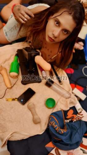 trans girl Samantharoy 2584474 trans girl Samantharoy 2584474