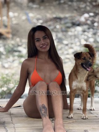 trans girl SamiraSarafin 3321749 trans girl SamiraSarafin 3321749
