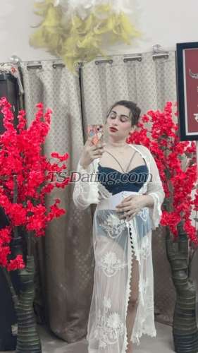 trans girl Sanababy 0433009 trans girl Sanababy 0433009