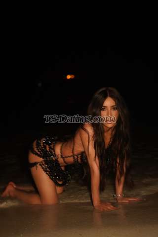 trans girl Sarah9inch 4461629 trans girl Sarah9inch 4461629