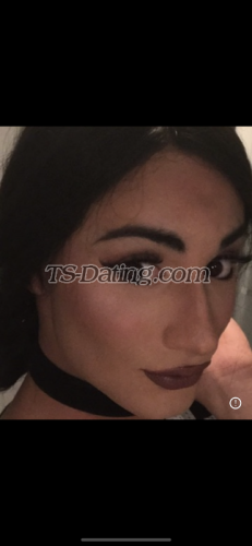 trans girl Sarahabibi 7719539