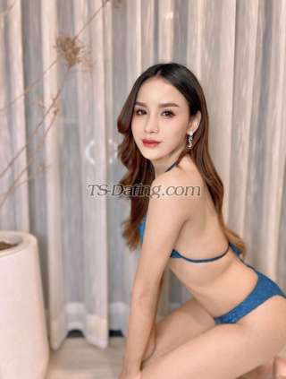 trans girl Sarahwinter 6078642 trans girl Sarahwinter 6078642