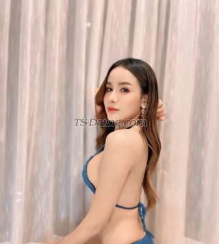 trans girl Sarahwinter 6078714 trans girl Sarahwinter 6078714